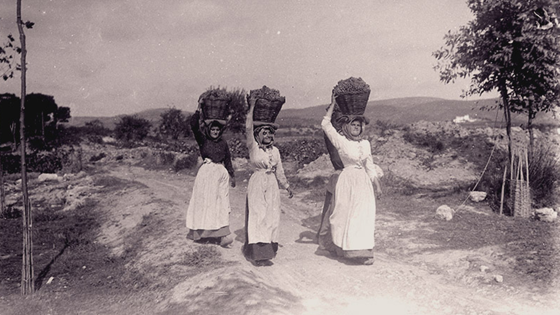 Dones transportant cistells de raïm, a principis del segle XX.